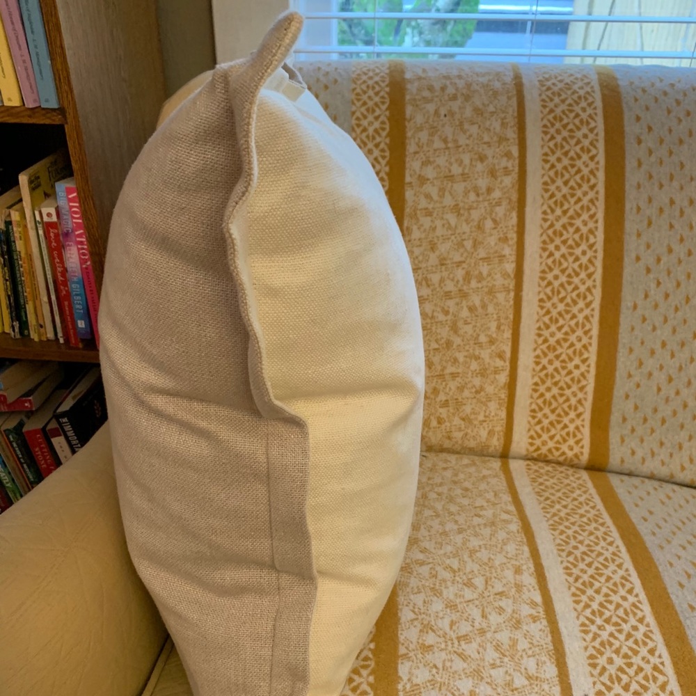 Pottery barn pillow